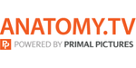 anatomy